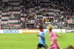 的新亮点 的新亮点