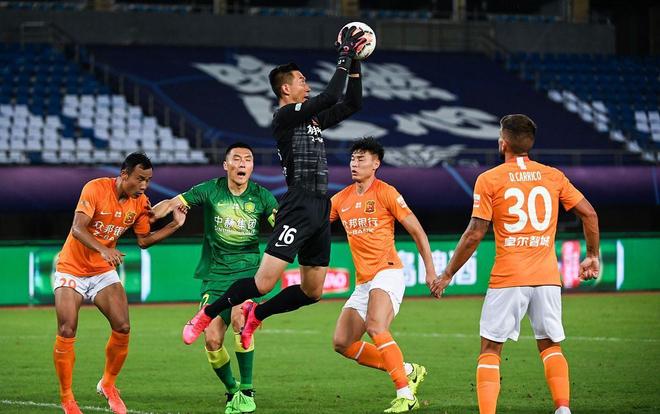 多分布在半 多分布在半